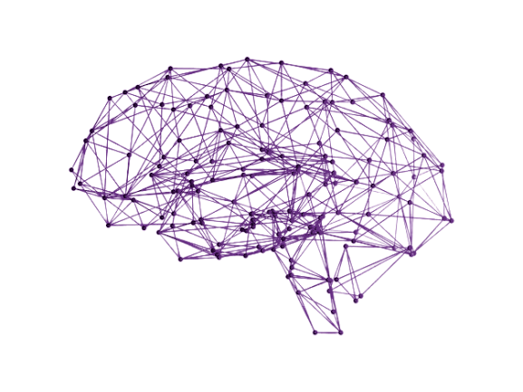 Brain